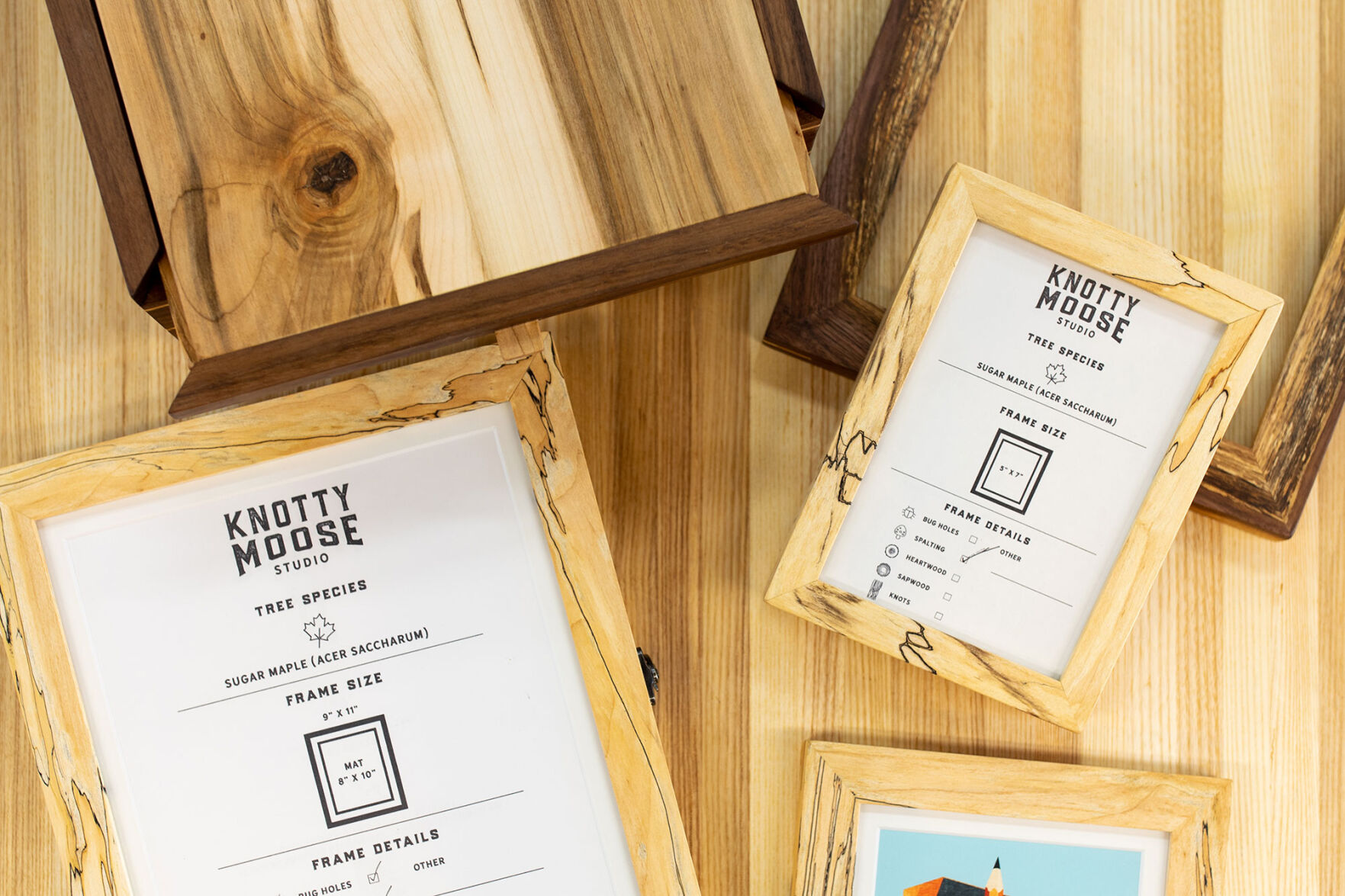 Knotty-Moose-frames2.jpg
